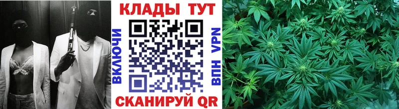 Продажа наркотиков Жирновск Марихуана  Галлюциногенные грибы  Мефедрон 