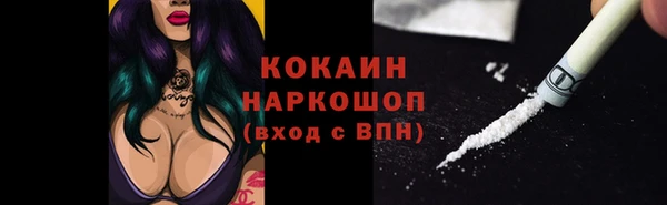 прущие грибы Горнозаводск