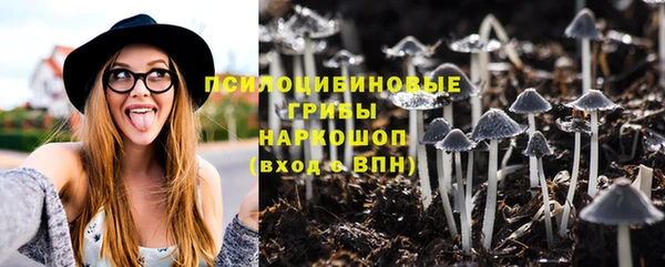 твердый Володарск