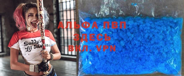 прущие грибы Горнозаводск