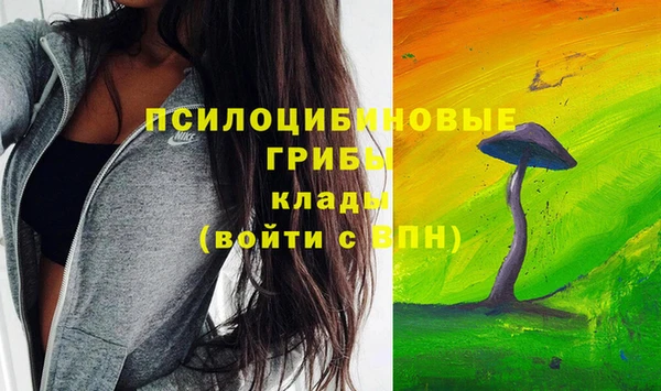 ешки Каменногорск