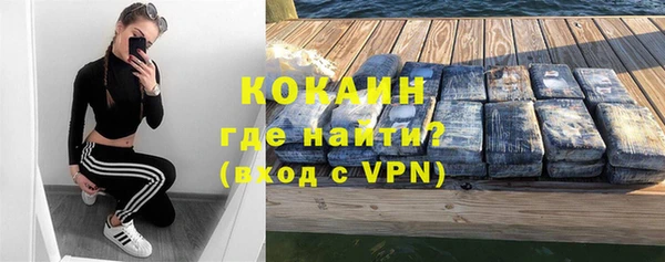 прущие грибы Горнозаводск