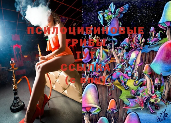 твердый Володарск